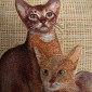 Egyptian Cats Tapestry Cushion 50x50cm